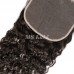 Virgin Hair Water Wave 4x4 5x5 6x6 7x7 Transparent Lace Closure